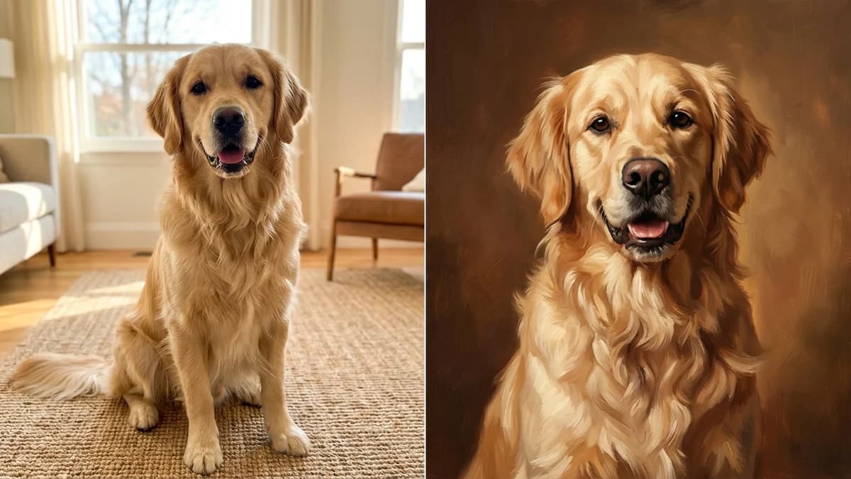 Before and after Golden Retriever portrait transformation